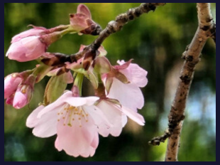 熊野のニュースのイメージ